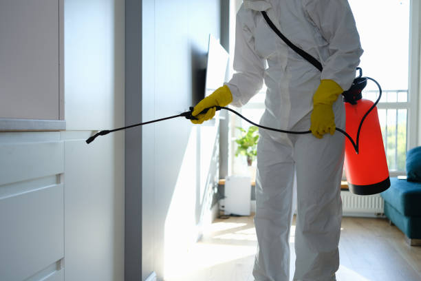 Best Residential Mold Removal  in Clyde Hill, WA